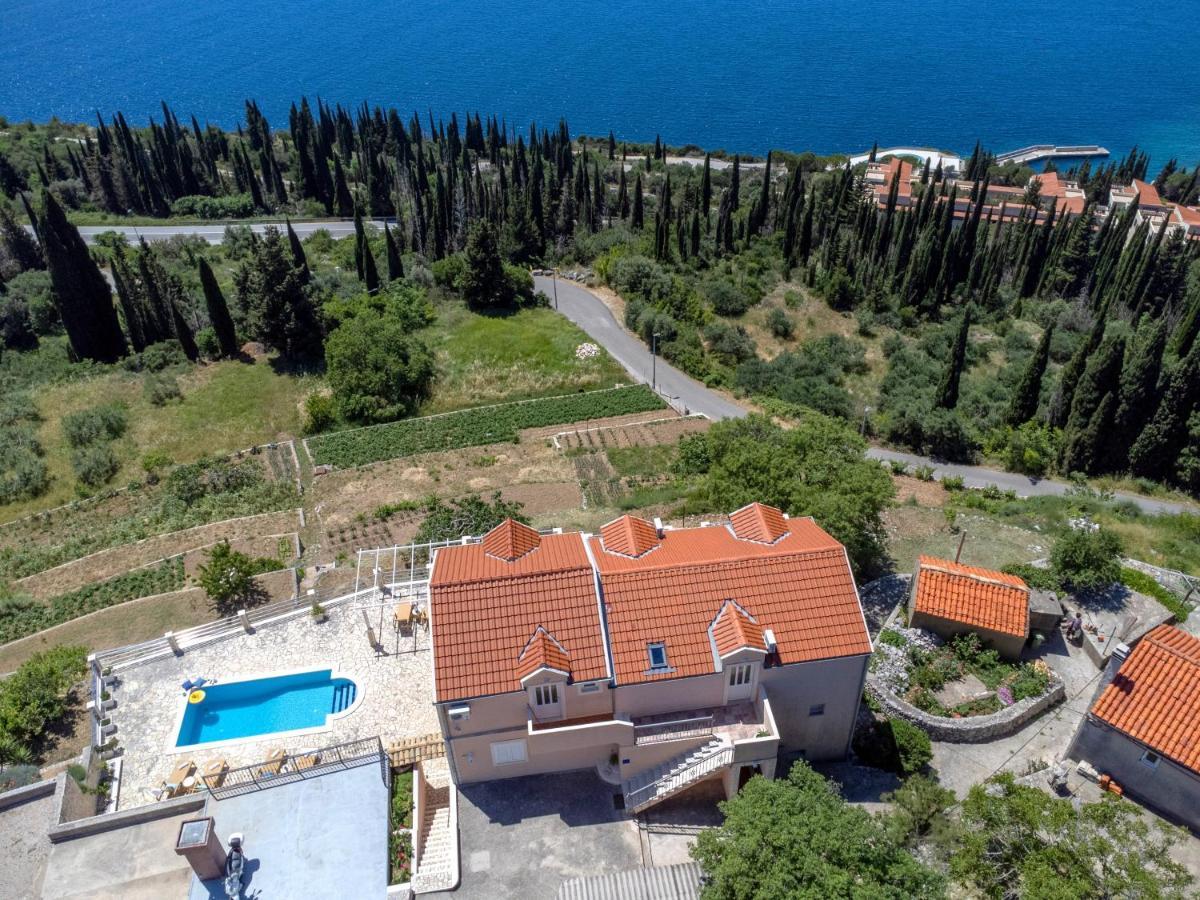 Apartments Bralovic Orašac Extérieur photo